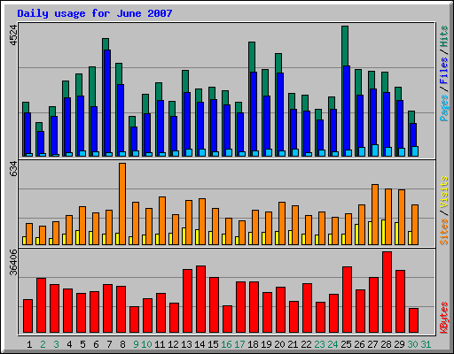 Daily usage for June 2007