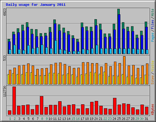 Daily usage for January 2011