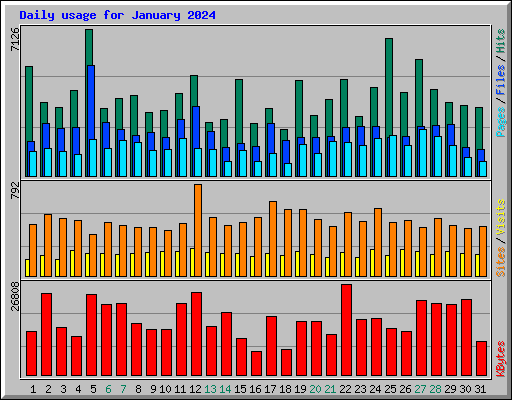 Daily usage for January 2024