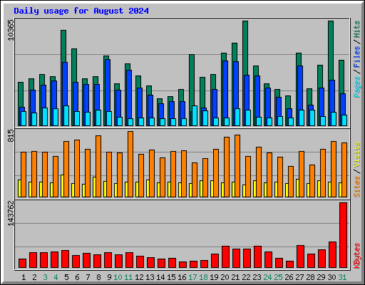 Daily usage for August 2024