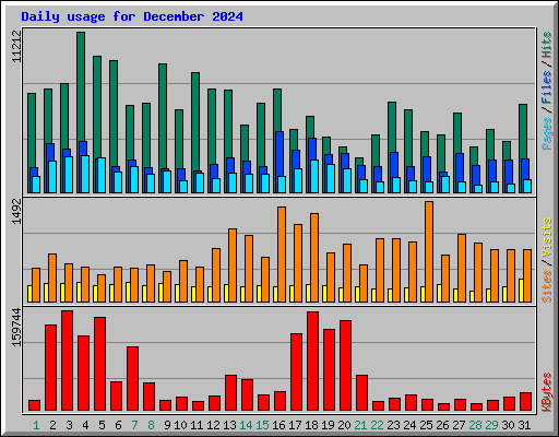 Daily usage for December 2024