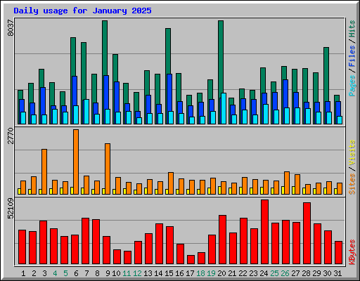 Daily usage for January 2025