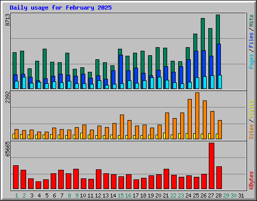 Daily usage for February 2025