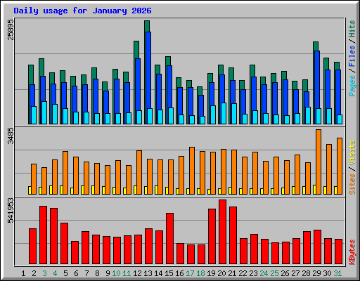 Daily usage for January 2026
