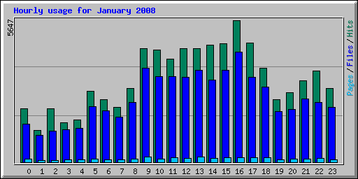 Hourly usage for January 2008