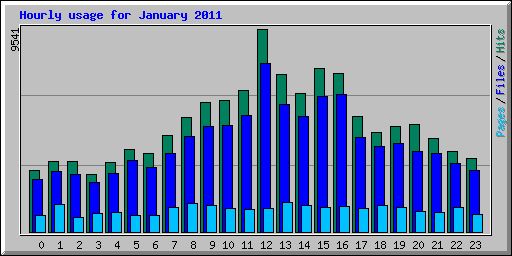 Hourly usage for January 2011