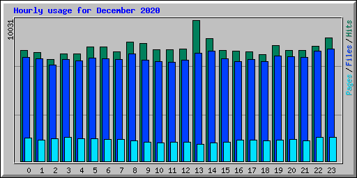 Hourly usage for December 2020