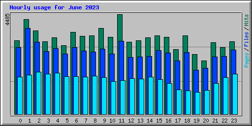 Hourly usage for June 2023