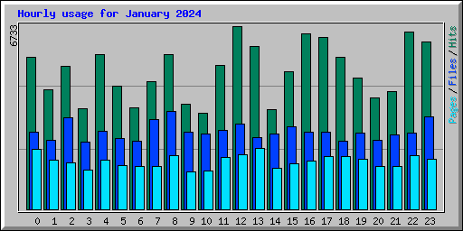 Hourly usage for January 2024