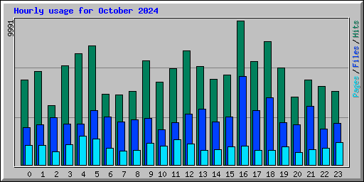 Hourly usage for October 2024