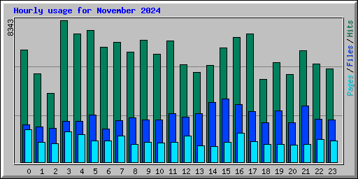 Hourly usage for November 2024