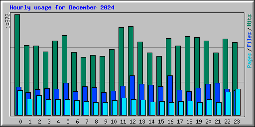 Hourly usage for December 2024