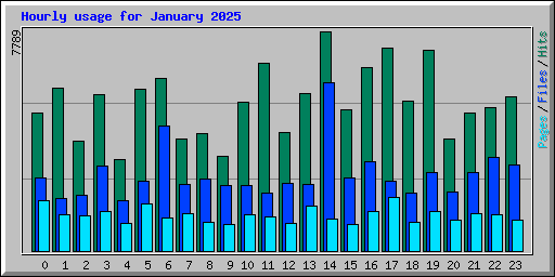 Hourly usage for January 2025