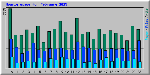 Hourly usage for February 2025
