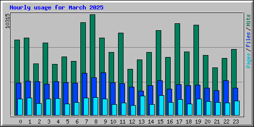 Hourly usage for March 2025