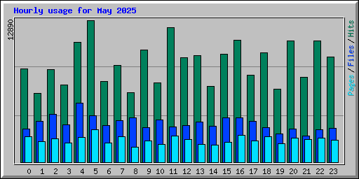 Hourly usage for May 2025