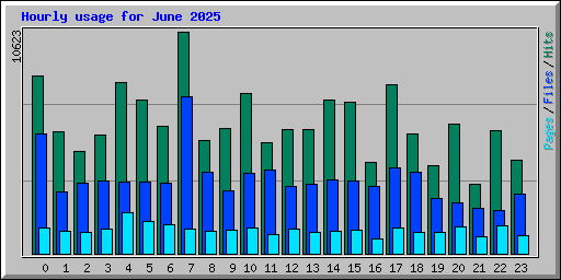 Hourly usage for June 2025