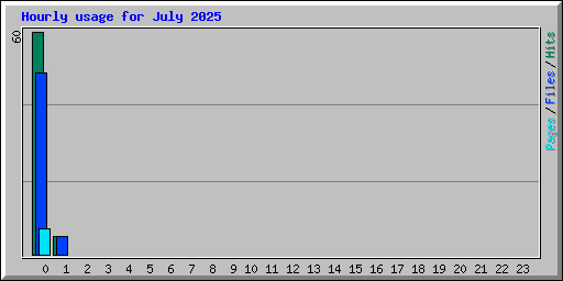 Hourly usage for July 2025