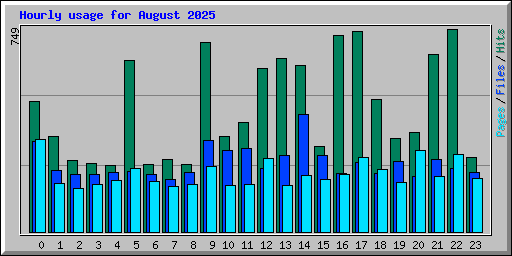 Hourly usage for August 2025