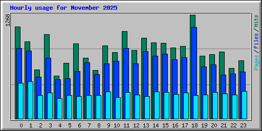 Hourly usage for November 2025