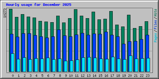 Hourly usage for December 2025